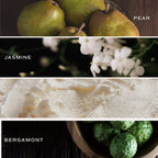 Collage of pears, jasmine flowers, vanilla ice cream, and bergamot fruits with labels.