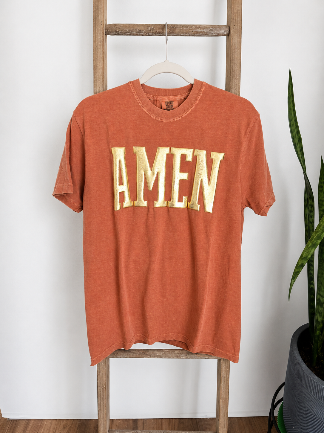 A rust-orange short-sleeve t-shirt with 'AMEN' printed in distressed gold block letters across the chest, hanging on a wooden hanger from a wooden ladder against a white wall, with a green snake plant in a gray pot on the right.