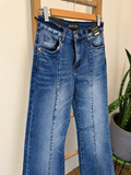 A pair of medium-wash blue denim jeans with front seam detailing, hanging on a wooden hanger against a beige wall with a potted snake plant in the background.