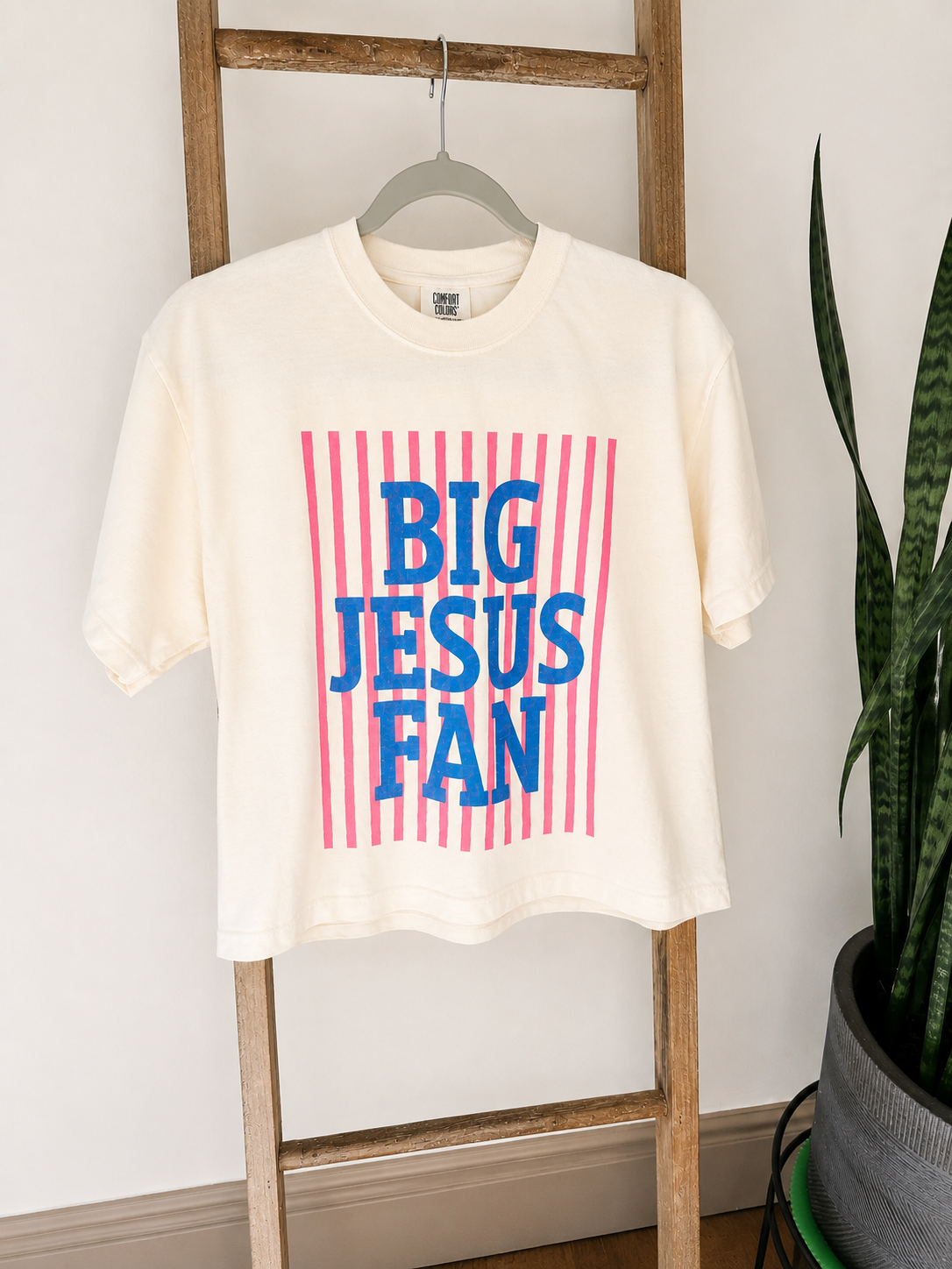 An off-white short-sleeve t-shirt hanging on a wooden ladder, featuring a graphic print with pink vertical stripes and blue text that reads 'BIG JESUS FAN'. A potted snake plant is visible on the right side of the frame.