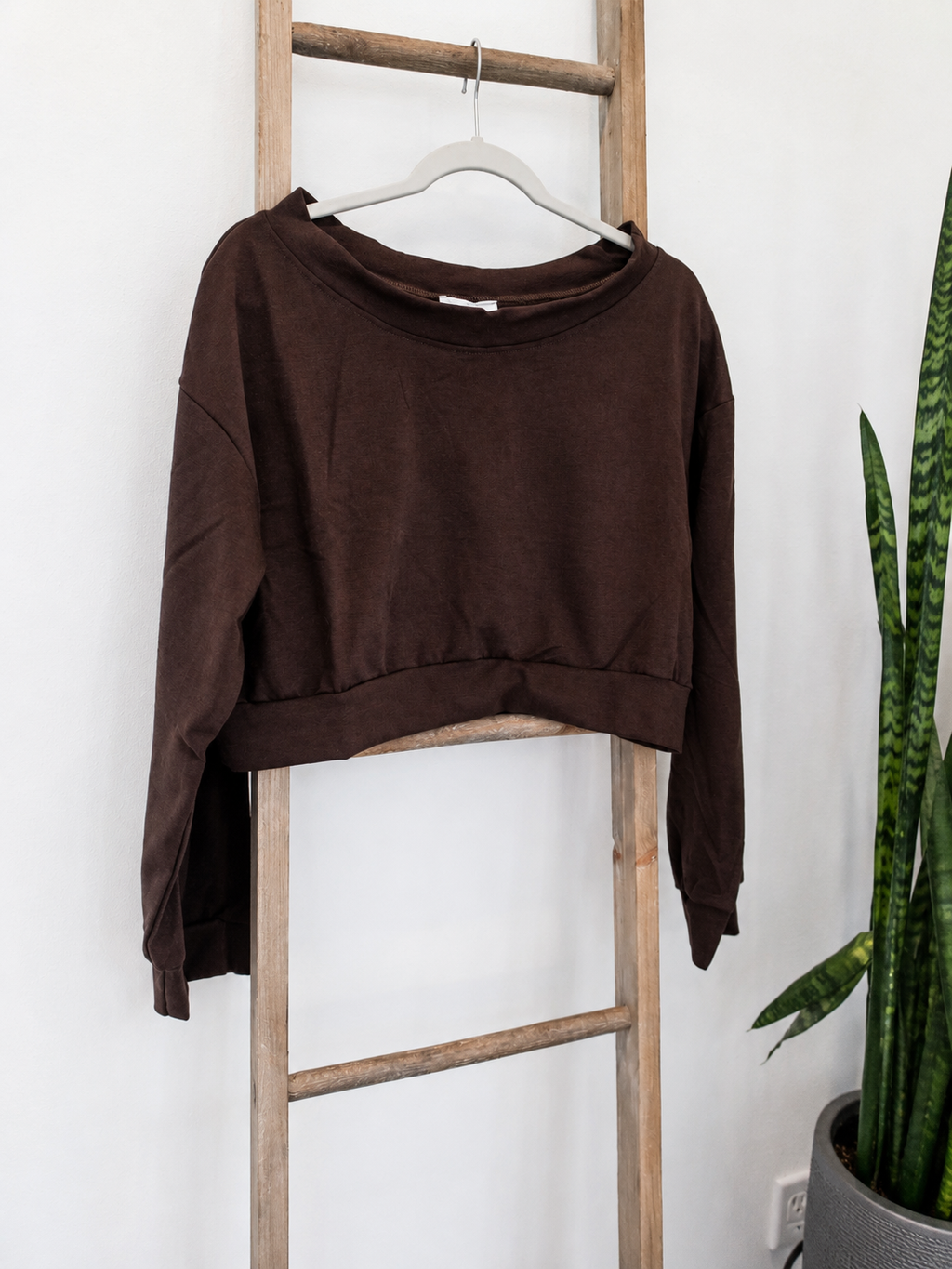 A dark brown long-sleeve cropped sweatshirt hanging on a white hanger from a wooden ladder, with a green snake plant in a gray pot on the right against a white wall.