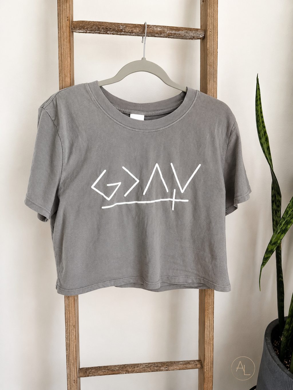 A gray cropped t-shirt with a white hand-drawn graphic on the front, hanging on a wooden hanger from a rustic wooden ladder next to a potted snake plant.
