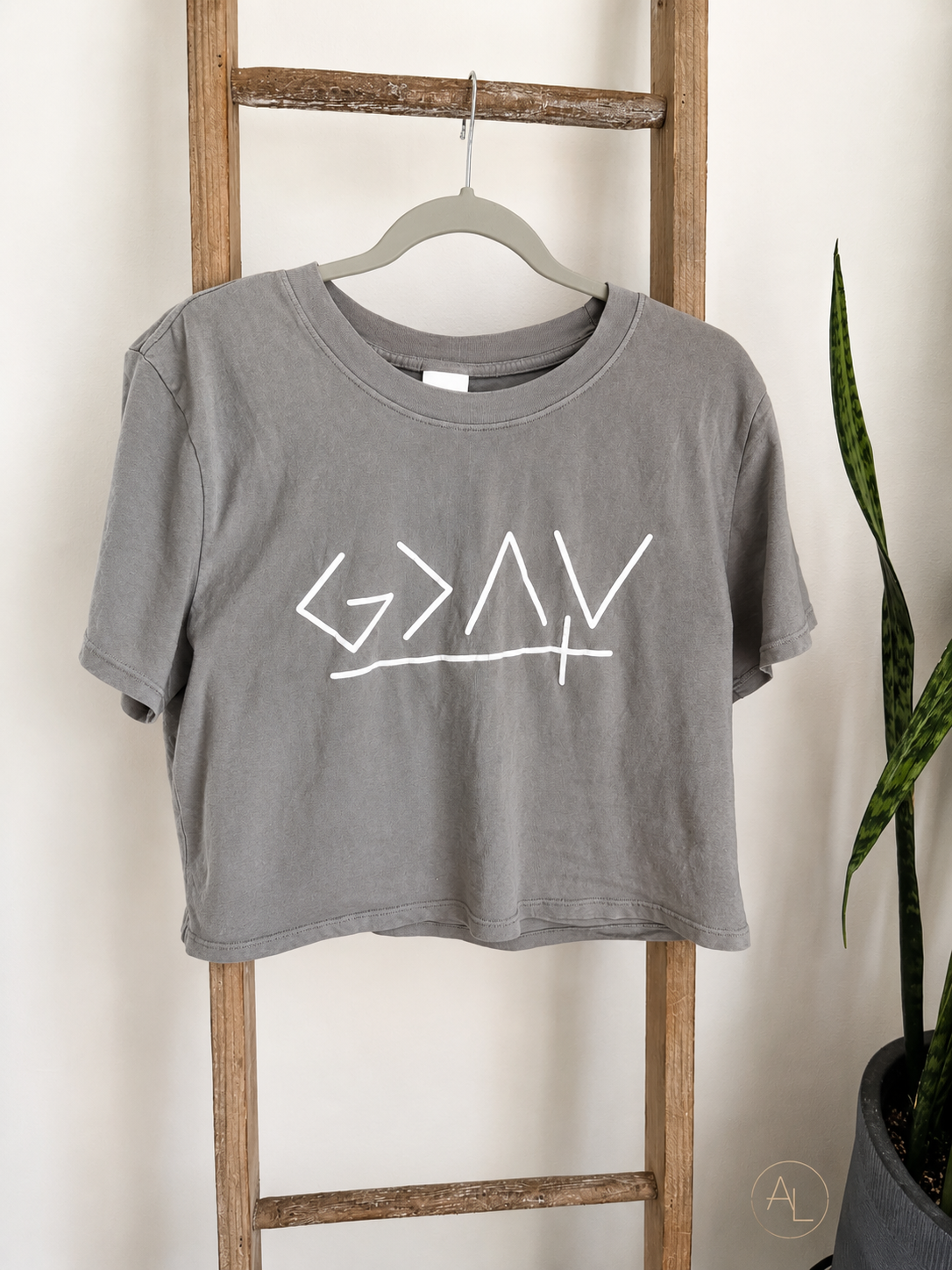 A gray cropped t-shirt with a white hand-drawn graphic on the front, hanging on a wooden hanger from a rustic wooden ladder next to a potted snake plant.