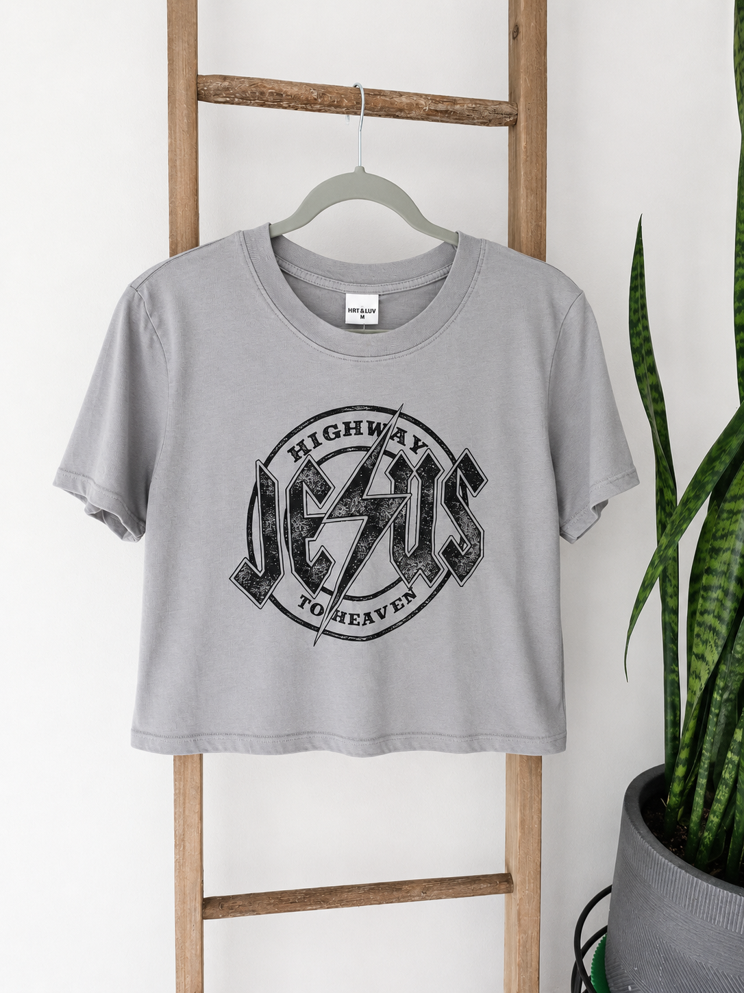 A light gray cropped t-shirt with a distressed black graphic reading 'JESUS HIGHWAY TO HEAVEN' hanging on a wooden hanger from a wooden ladder, with a snake plant in a pot on the right.