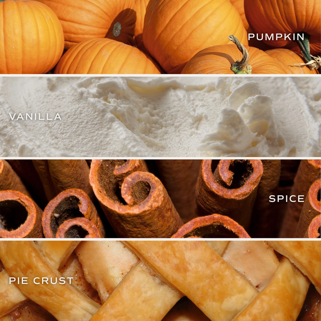 A four-panel ingredient collage for pumpkin spice pie crust, showing orange pumpkins labeled 'PUMPKIN,' vanilla ice cream labeled 'VANILLA,' cinnamon sticks labeled 'SPICE,' and a baked pie crust labeled 'PIE CRUST.'.